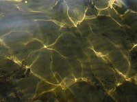 Bild: Lichtspiele am Seelhausener See