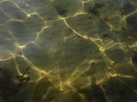 Bild: Lichtspiele am Seelhausener See