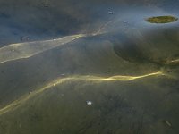 Bild: Lichtspiele am Seelhausener See