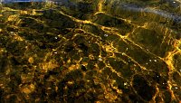 Bild: Lichtspiele am Seelhausener See
