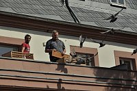Vom Stadtfest Bild: Vom Stadtfest