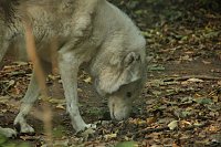 Bild: Heute im B&auml;renpark