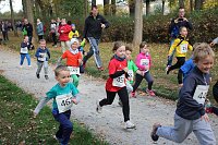 Bild: Stadtparklauf in Sondershausen (2)
