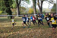 Bild: Stadtparklauf in Sondershausen (2)