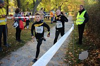 Bild: Stadtparklauf in Sondershausen (2)