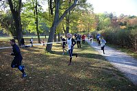 Bild: Stadtparklauf in Sondershausen (2)