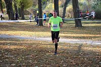 Bild: Stadtparklauf in Sondershausen (2)