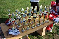 Bild: Stadtparklauf in Sondershausen (2)