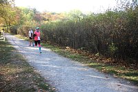 Bild: Stadtparklauf in Sondershausen (2)