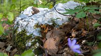 Bild: Wandern und Fotografieren