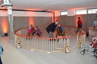 Bild: Neues Autohaus er&ouml;ffnet