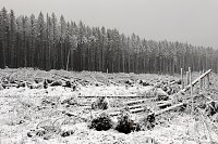 Heiligabend noch schnell auf den Brocken (2018) Bild: Heiligabend noch schnell auf den Brocken (2018)