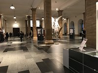 Bild: Eichsfelder auf Bildungsreise in Berlin