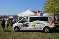 Bild: Gro&szlig;artiger MDR Osterspaziergang in Bad Frankenhausen