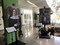 Ausstellung Bild: Ausstellung