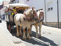Bild: Festumzug in Bildern