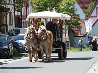 Bild: Festumzug in Bildern