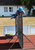Thüringer Landesmeisterschaften im Feuerwehrkampfsport Bild: Thüringer Landesmeisterschaften im Feuerwehrkampfsport