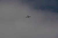 Bild: Flugtage bei Hain