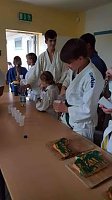 judoka Bild: judoka