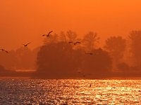 Bild: Abendstimmung am Stausee Kelbra