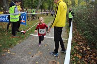 Bild: 26. Stadtparklauf Sondershausen und...