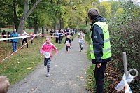 Bild: 26. Stadtparklauf Sondershausen und...