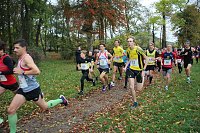 Bild: 26. Stadtparklauf Sondershausen und...