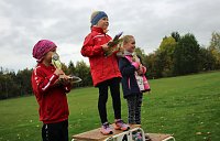Bild: 26. Stadtparklauf Sondershausen und...