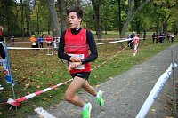 Bild: 26. Stadtparklauf Sondershausen und...