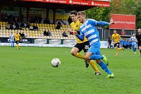 Bild: Wacker in Auerbach 