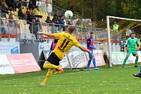 Bild: Wacker in Auerbach 