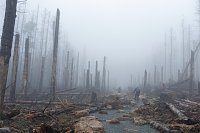 Bild: Heiligabend noch schnell auf den Brocken (2019)