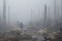 Bild: Heiligabend noch schnell auf den Brocken (2019)