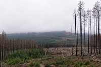Bild: Heiligabend noch schnell auf den Brocken (2019)