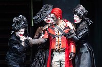 Bild: Die Zauberfl&ouml;te