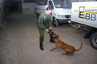 Bild: Salzstaub gesch&uuml;ffelt