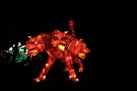 Bild: Lichterwelten
