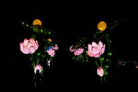 Bild: Lichterwelten