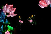 Bild: Lichterwelten
