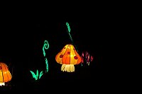 Bild: Lichterwelten