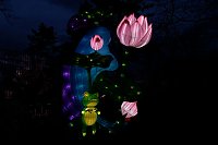 Bild: Lichterwelten