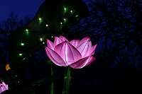 Bild: Lichterwelten