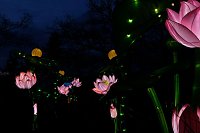 Bild: Lichterwelten