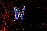 Bild: Lichterwelten