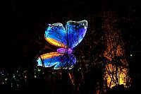 Bild: Lichterwelten