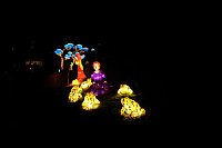 Bild: Lichterwelten