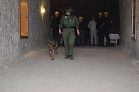 Bild: Salzstaub gesch&uuml;ffelt