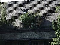 Bild: Beelitz Heilst&auml;tten