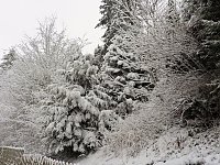 Bild: Ausflug nach Stiege